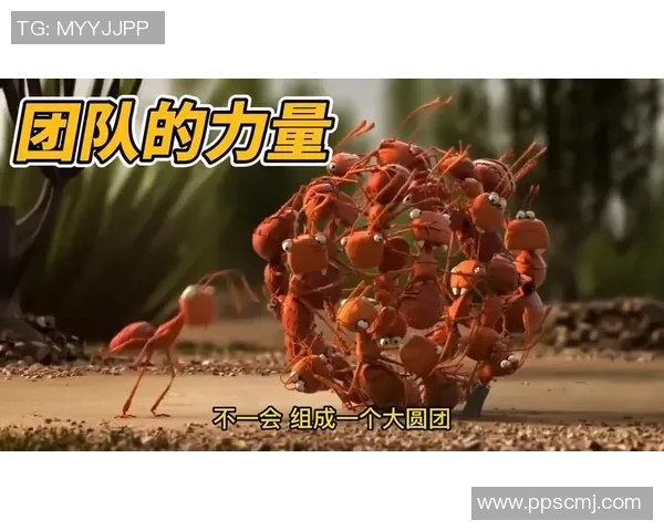 杭州乒乓球队的崛起之路：探索团队力量与竞技精神的完美结合